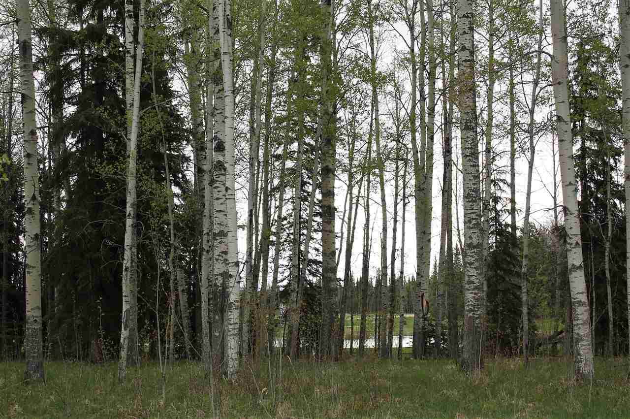 33 Silversprings - Photo 1