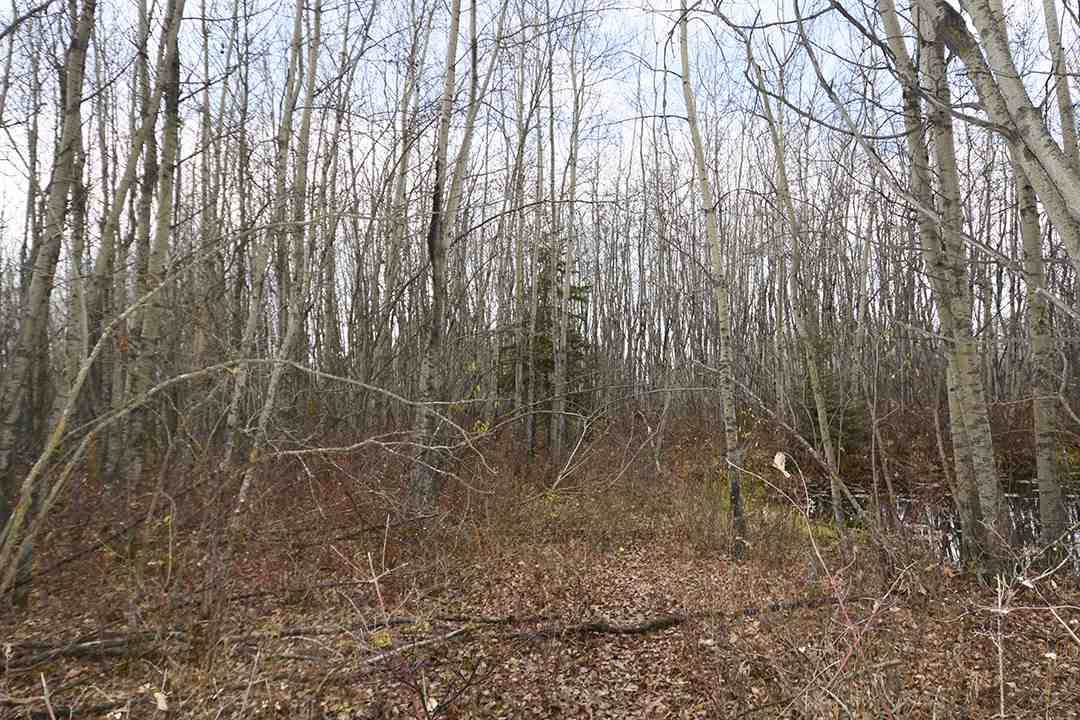 57128 Range Road 271 - Photo 1
