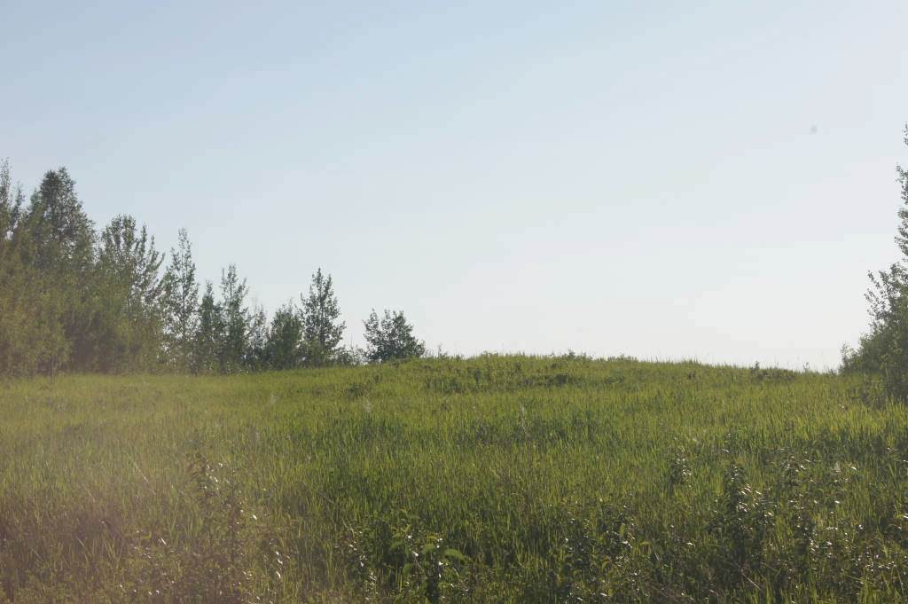 Range Road 150 Hwy 748 East - Photo 1