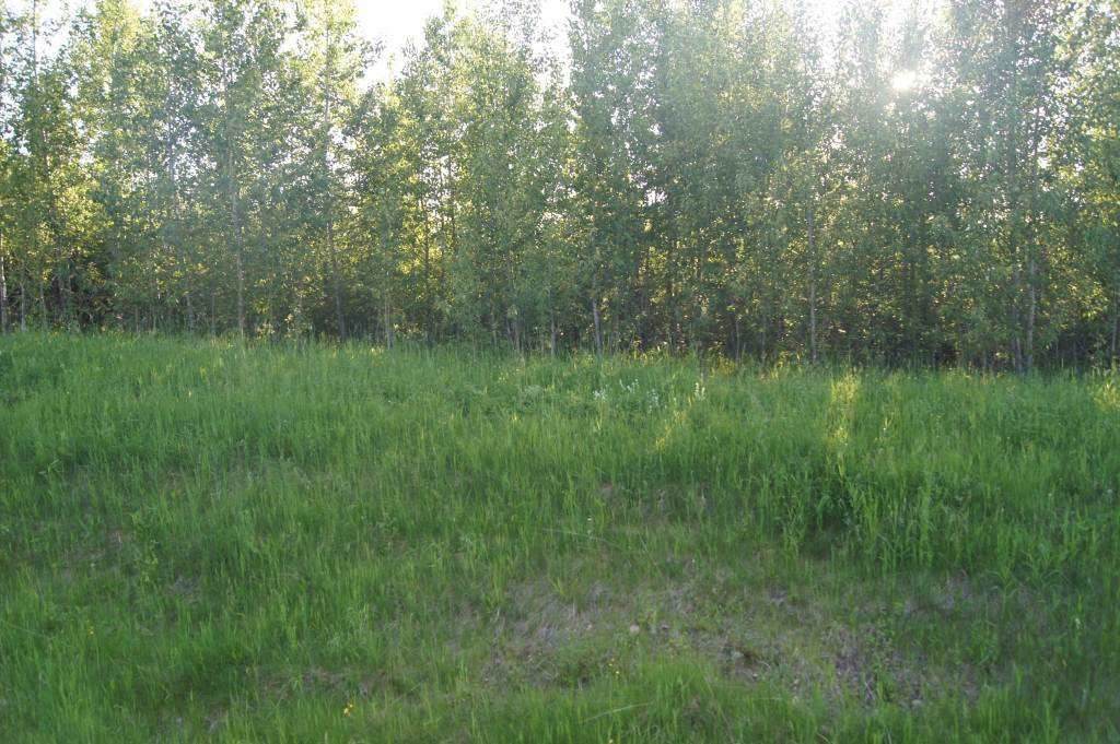Range Road 150 Hwy 748 East - Photo 1