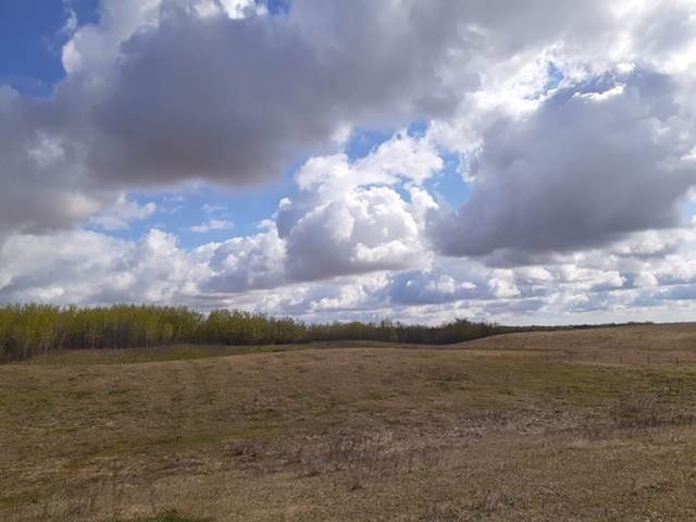 TWP Rd 515A - Photo 1