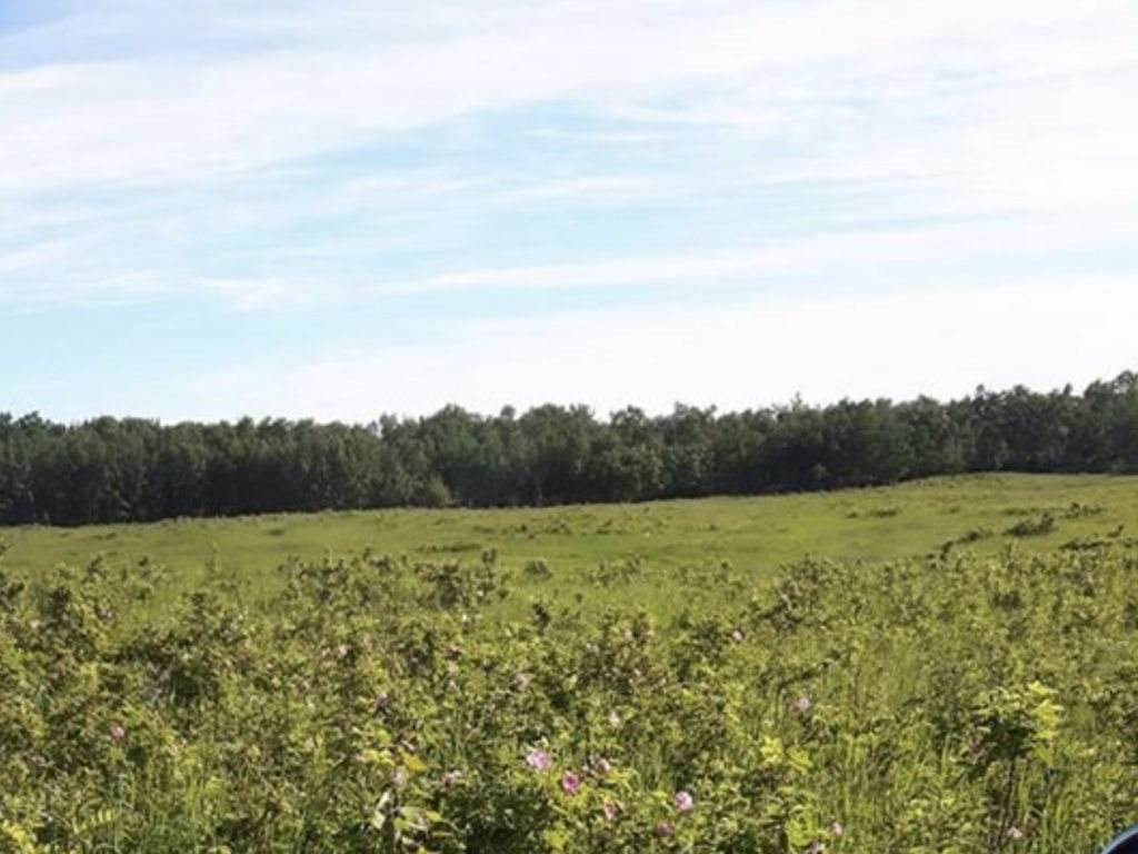 Twp Rd 534 At Rge Rd 220 - Photo 1