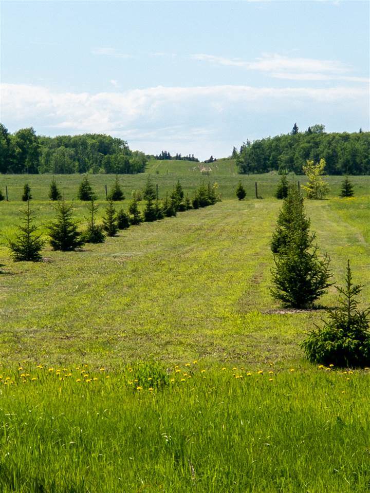 TWP Rd 630 Range Road 414 - Photo 1