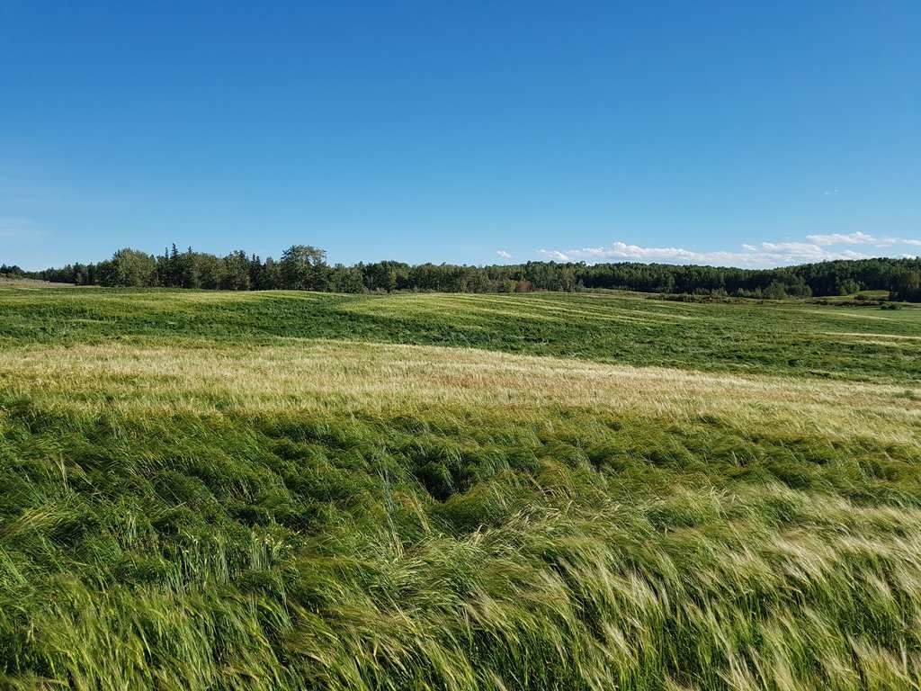 52515 Rge Rd 25 - Photo 1