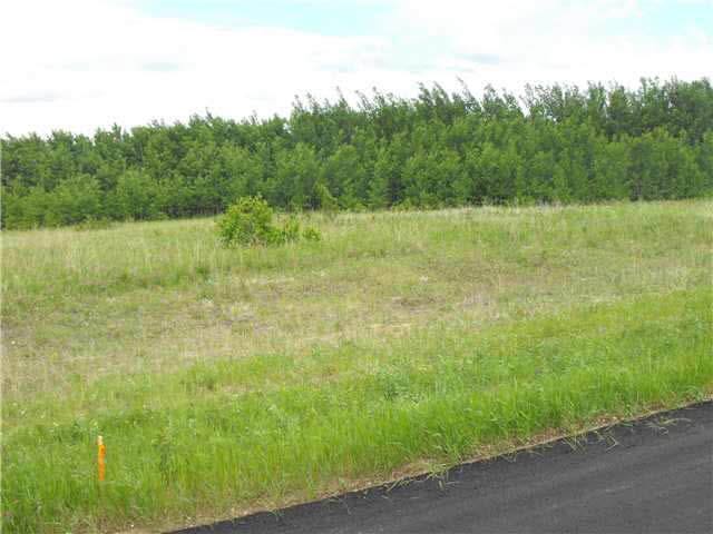 105 56514 Rd Rg 60 Drive - Photo 1
