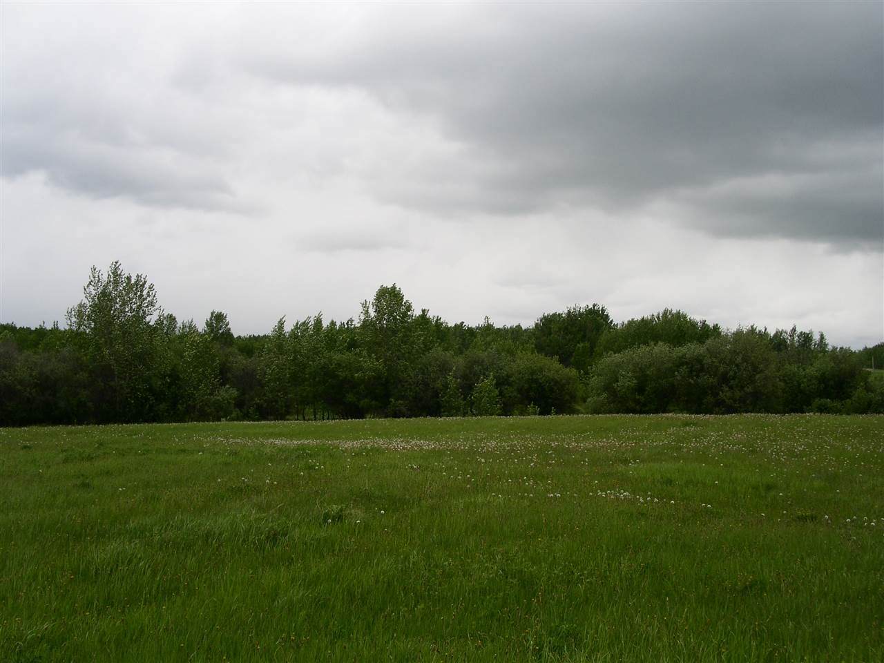 RR45 Twp570 Acres - Photo 1