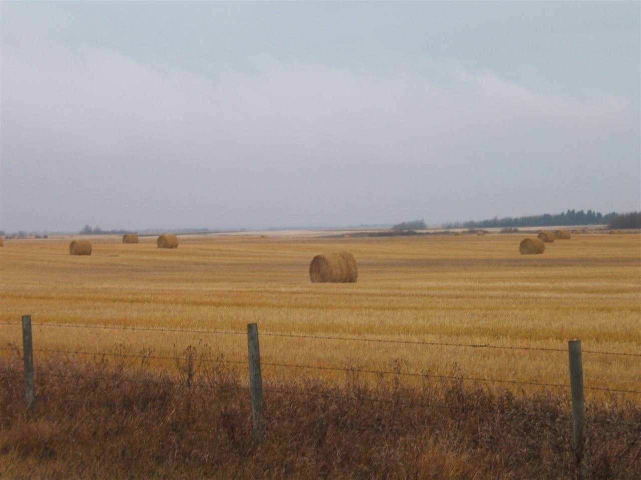 53431 Rng Rd 154 - Photo 1