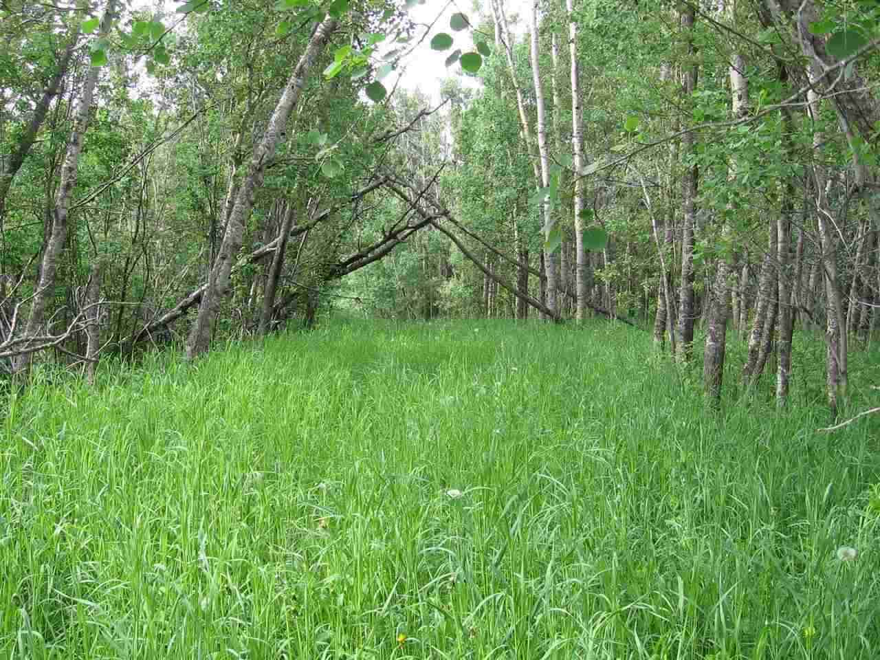 94 50514 Rge Rd 202 - Photo 1
