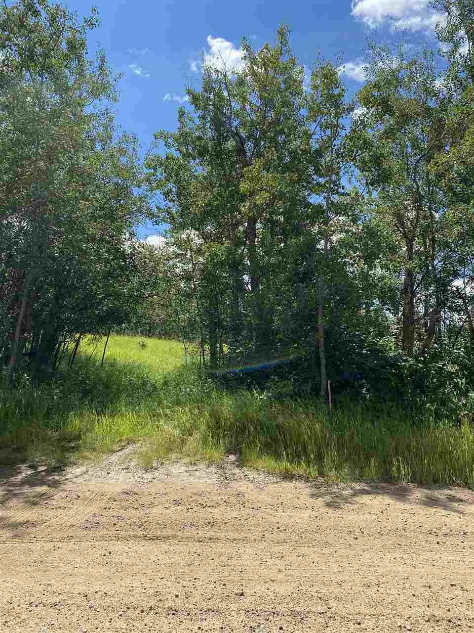 Range Road 202 Township 550 - Photo 1