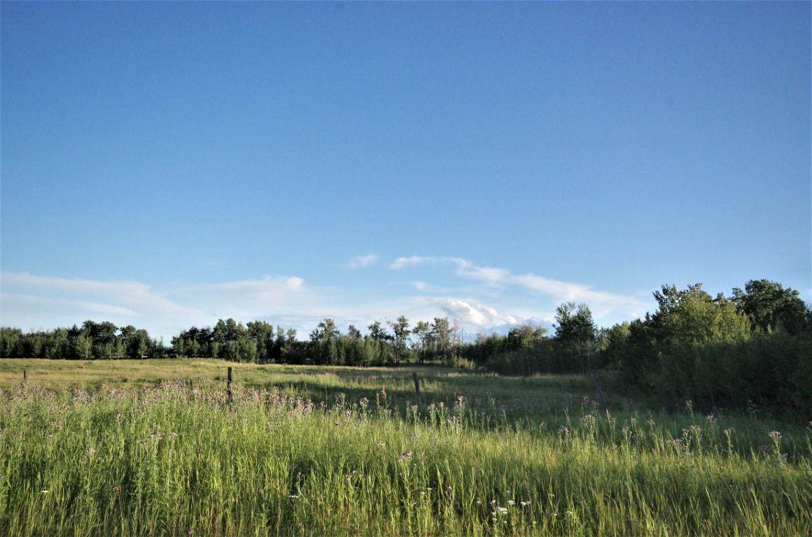 Rng Rd 221 Twp Rd 503 Lot 1 - Photo 1