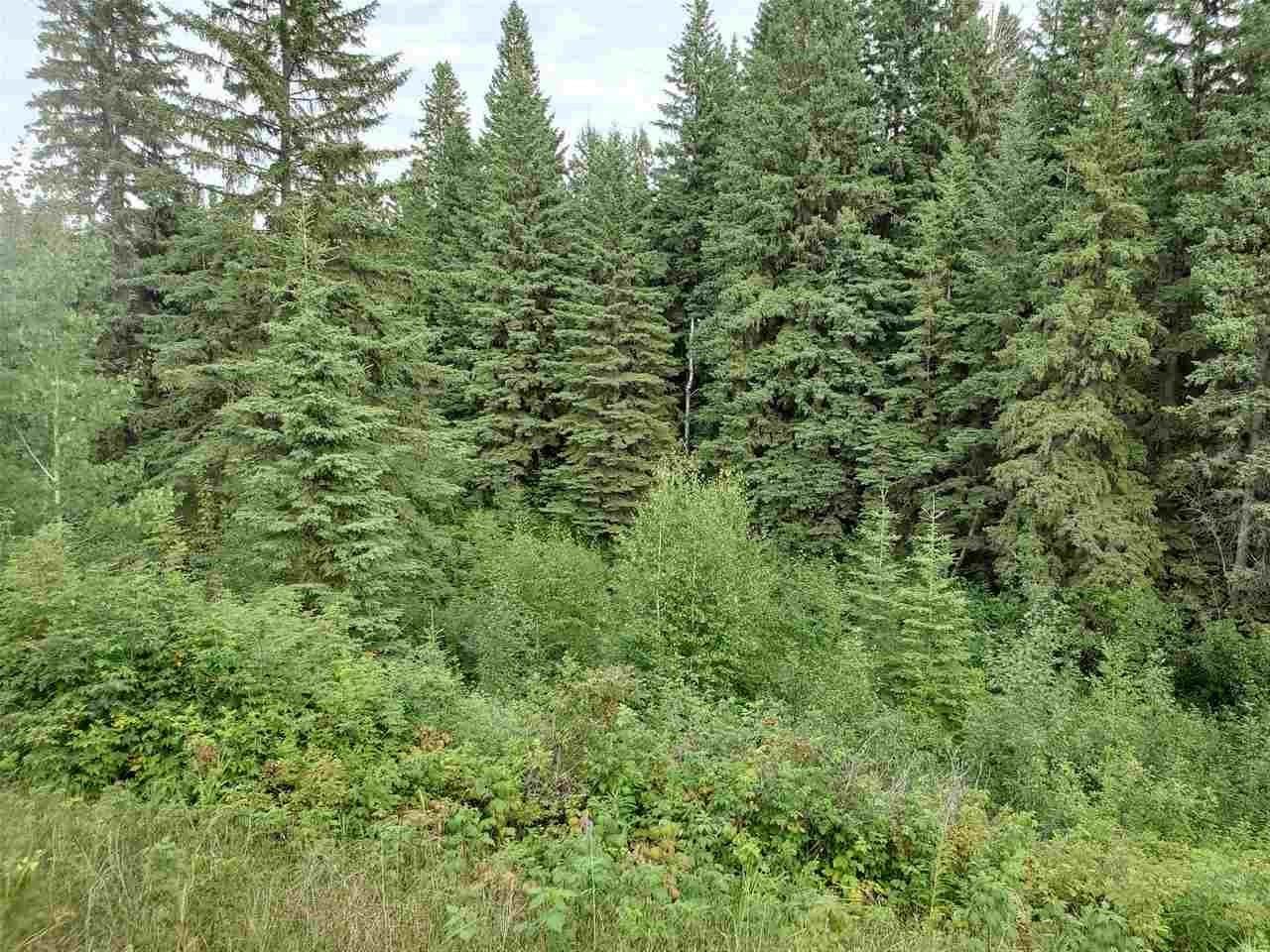 51109 Rge Rd 261 Road - Photo 1
