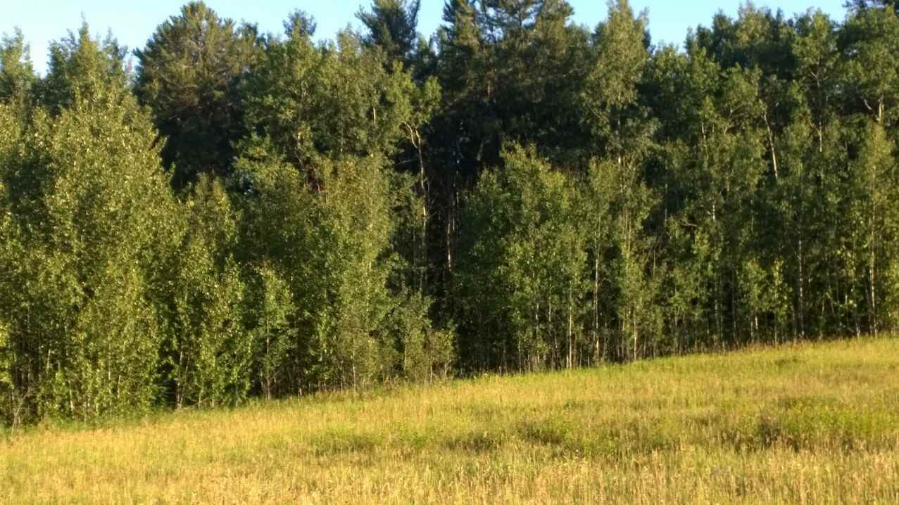 #3-51227 Rge Rd 270 Road - Photo 1