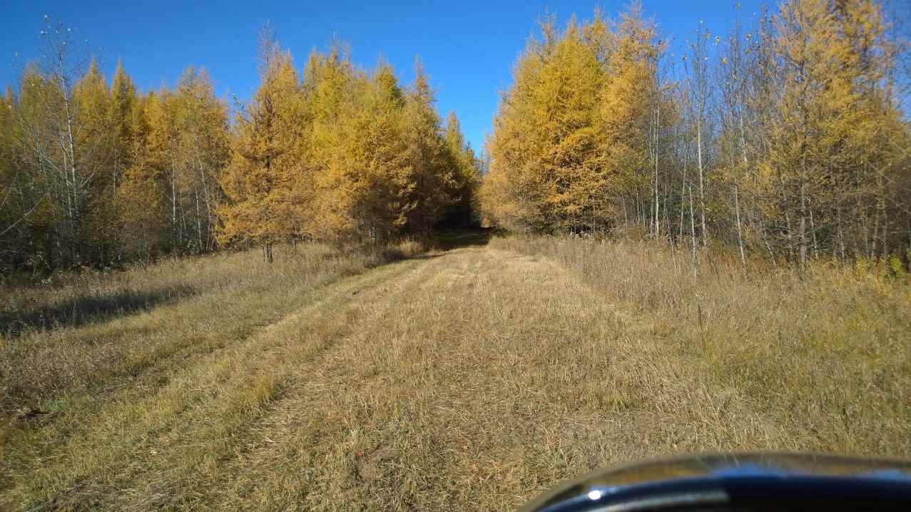 #2-51223 Rge Rd 270 Road - Photo 1