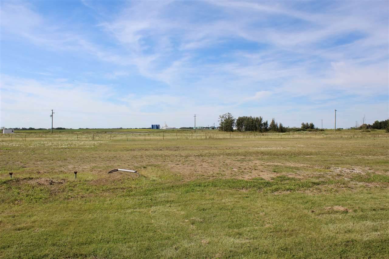 12 Whitetail Drive - Photo 1