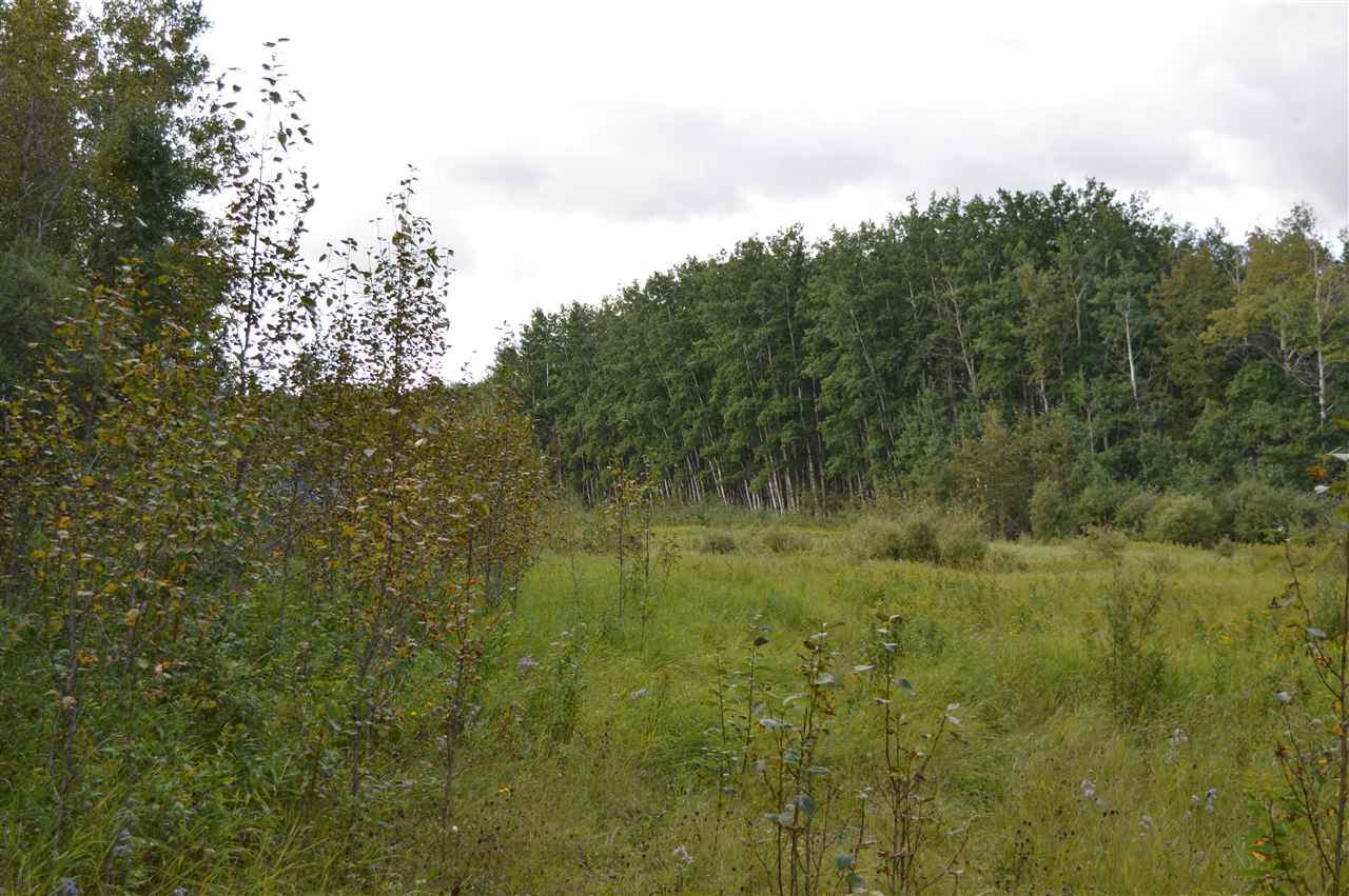 TSP Rd 640 & Hwy 897 - Photo 1