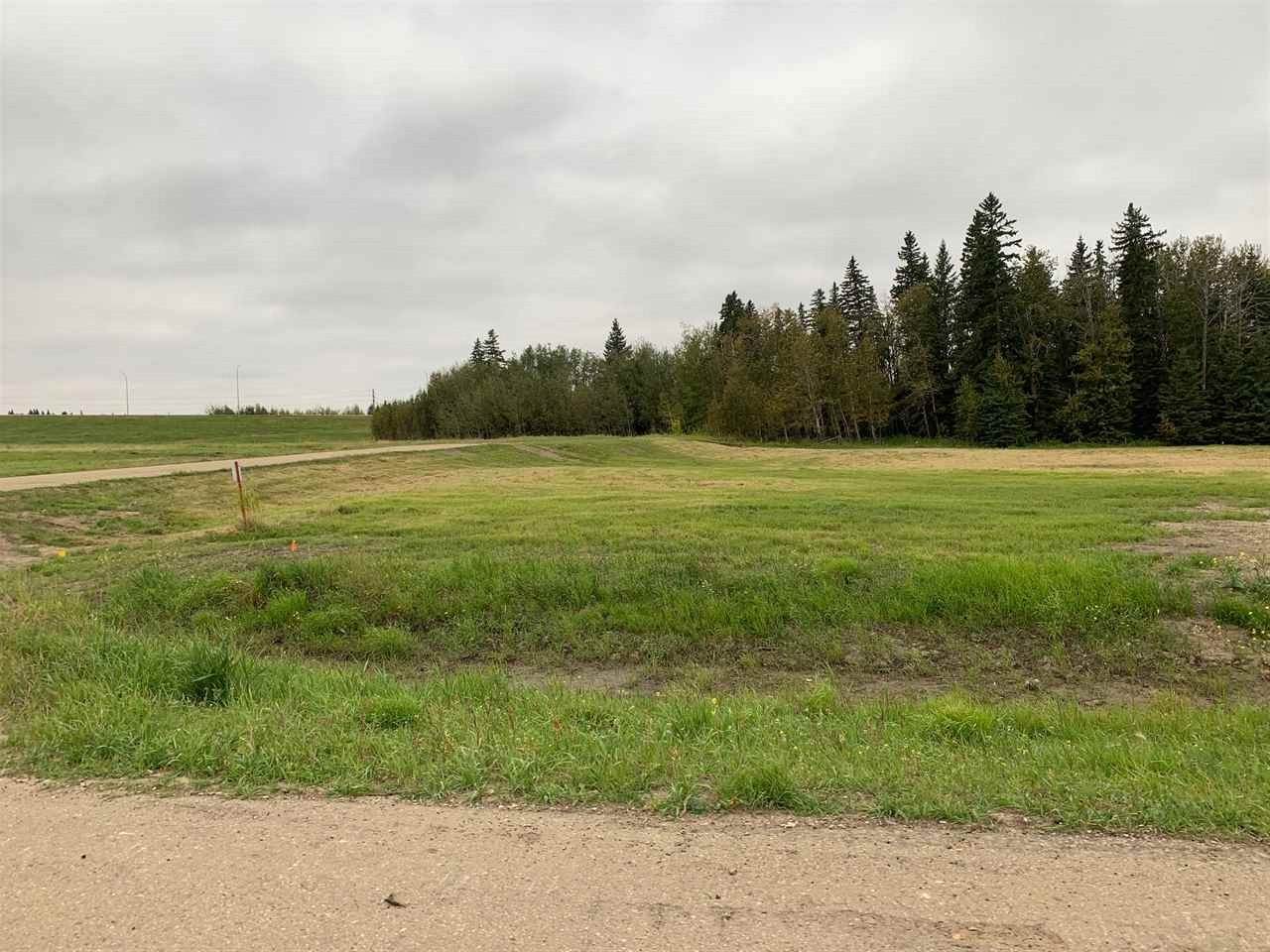 17 26425 TWP RD 532 A - Photo 1