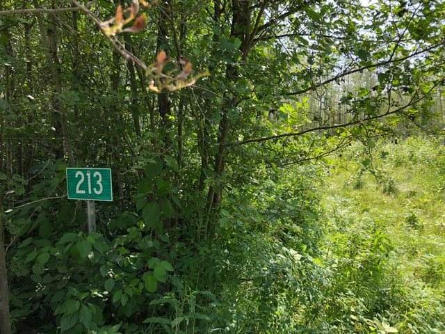 213 15356 TWP 661 - Photo 1