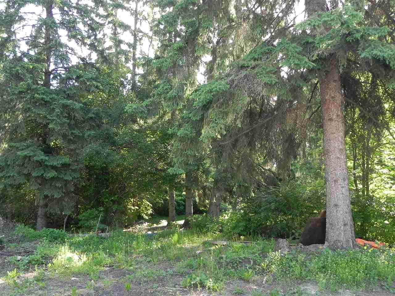 12312 Grandview Drive - Photo 1