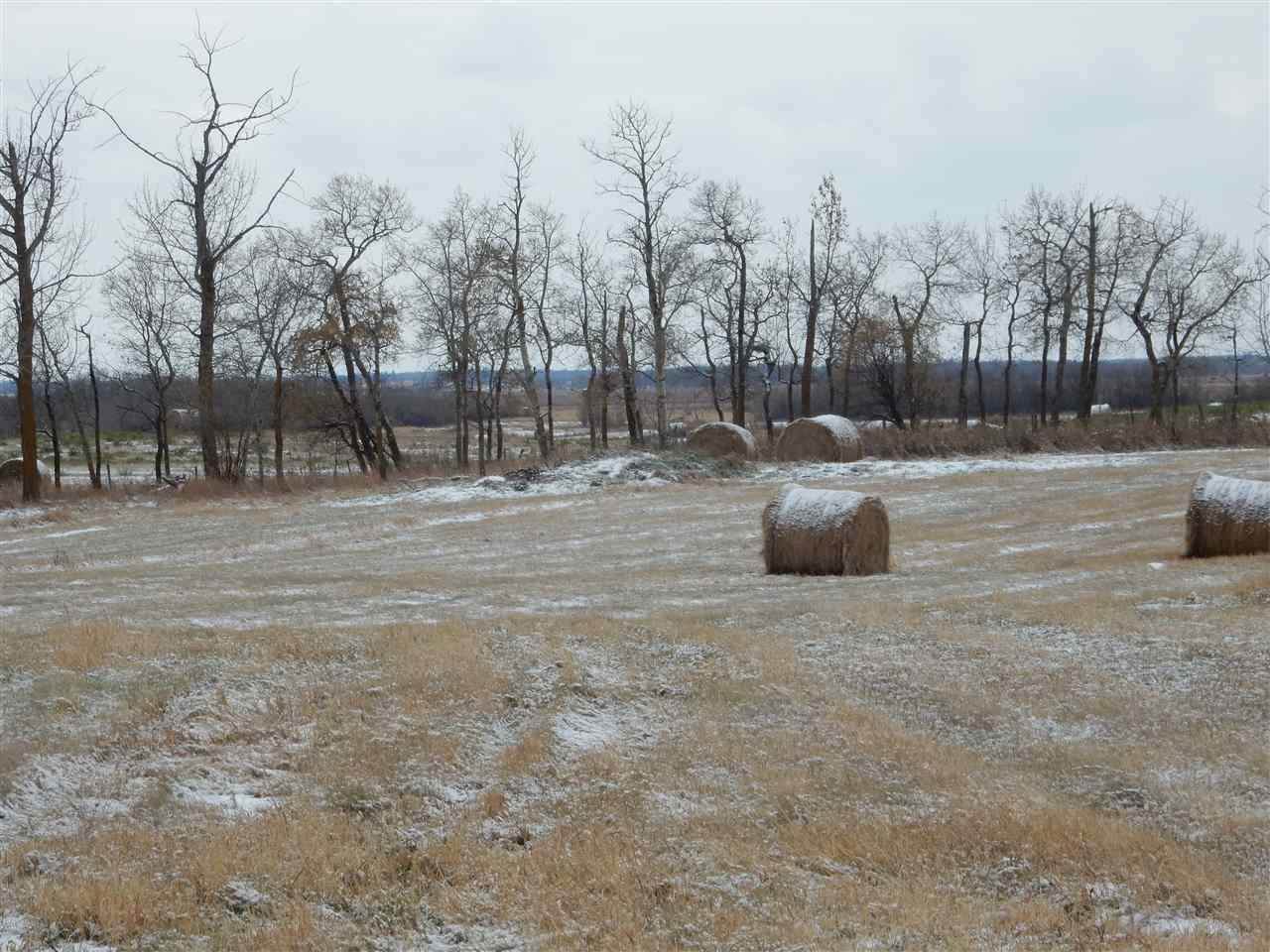 Range Road 224 Twp 490 - Photo 1