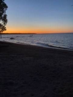 334 Birch - Photo 1
