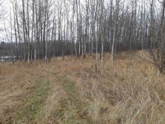 5104 Highway 633 - Photo 1