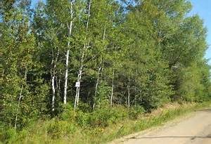 63220 Range Road 433 - Photo 1
