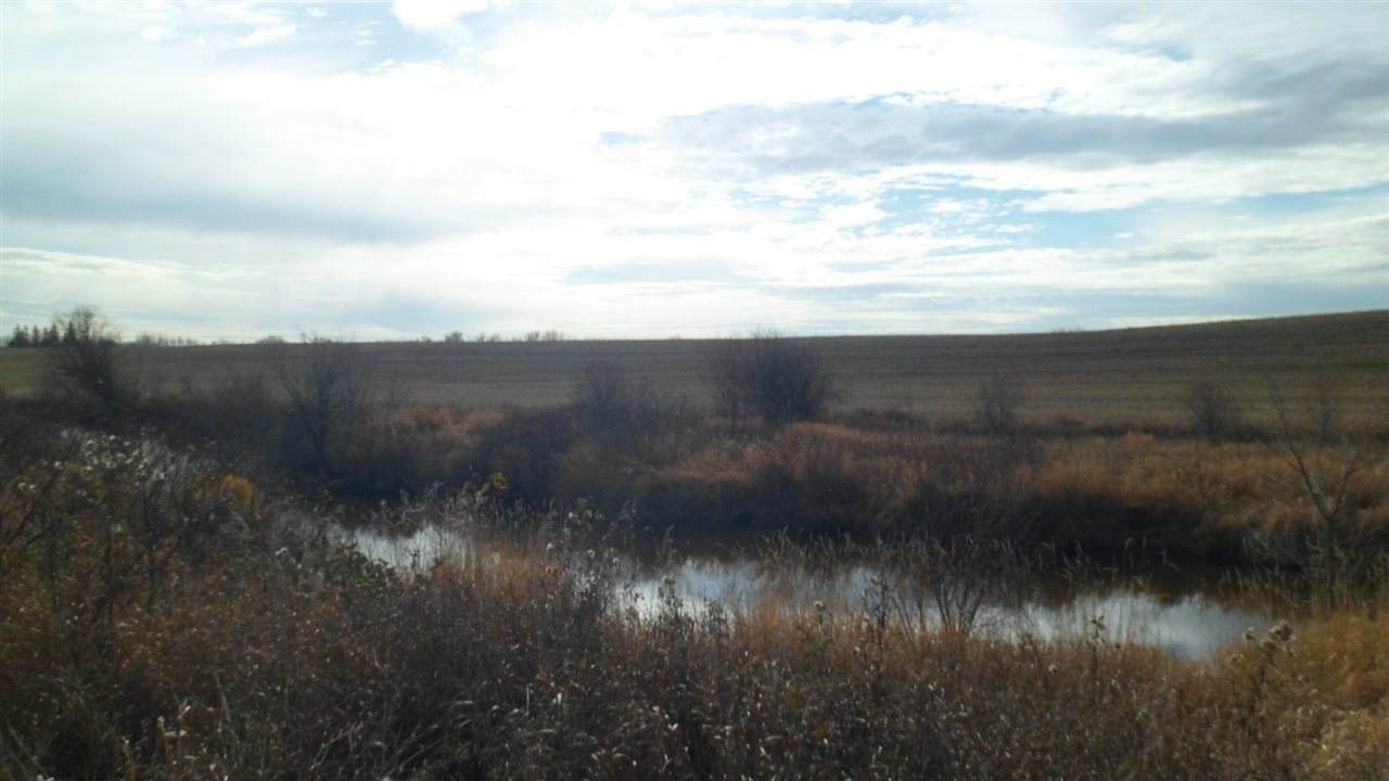 59323 R.R.193 - Photo 1