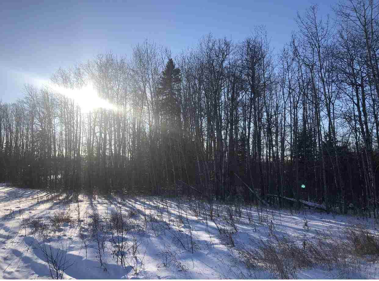 63416 Rge Rd 432 - Photo 1