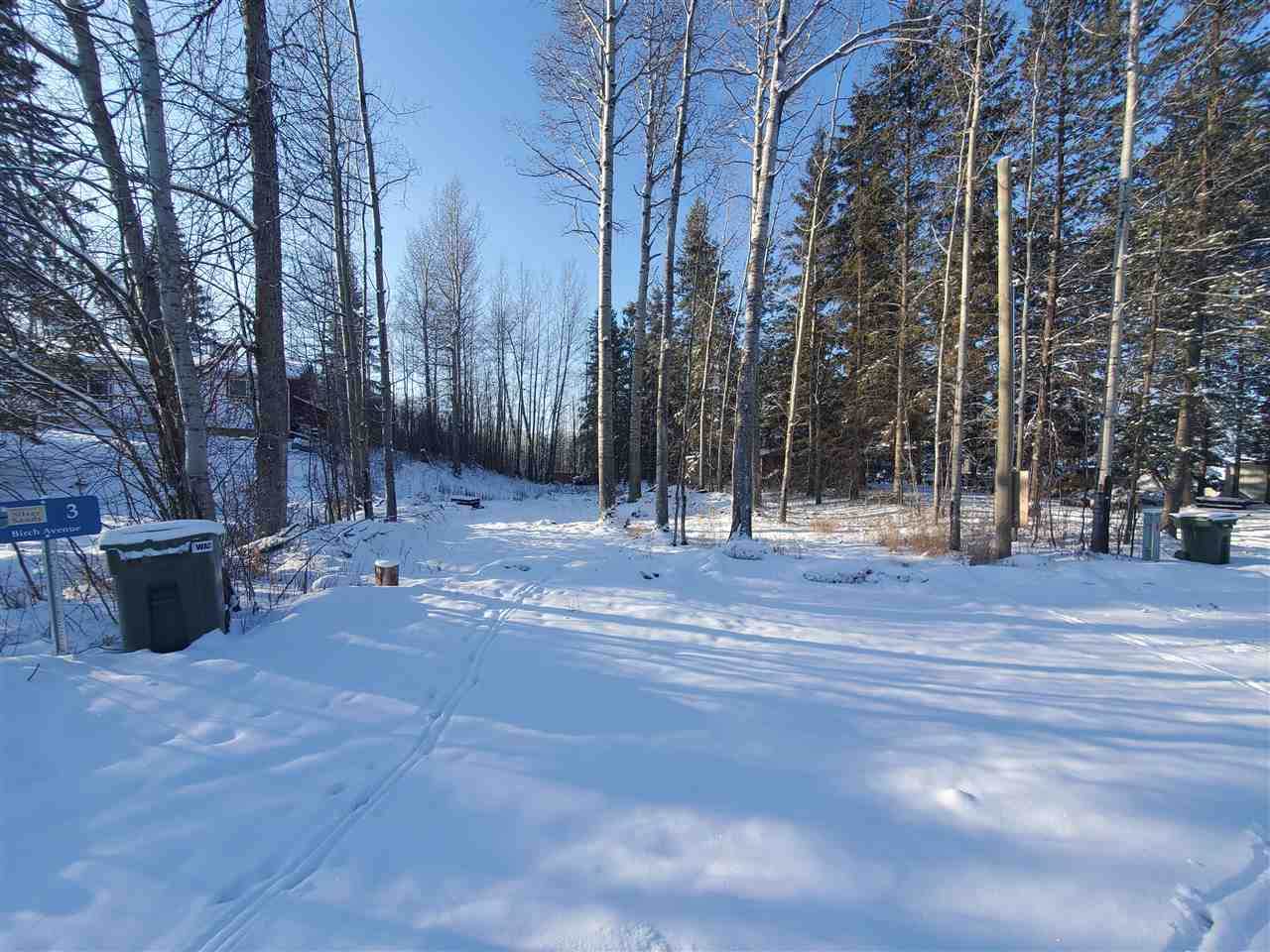 #3 Birch Ave - Photo 1