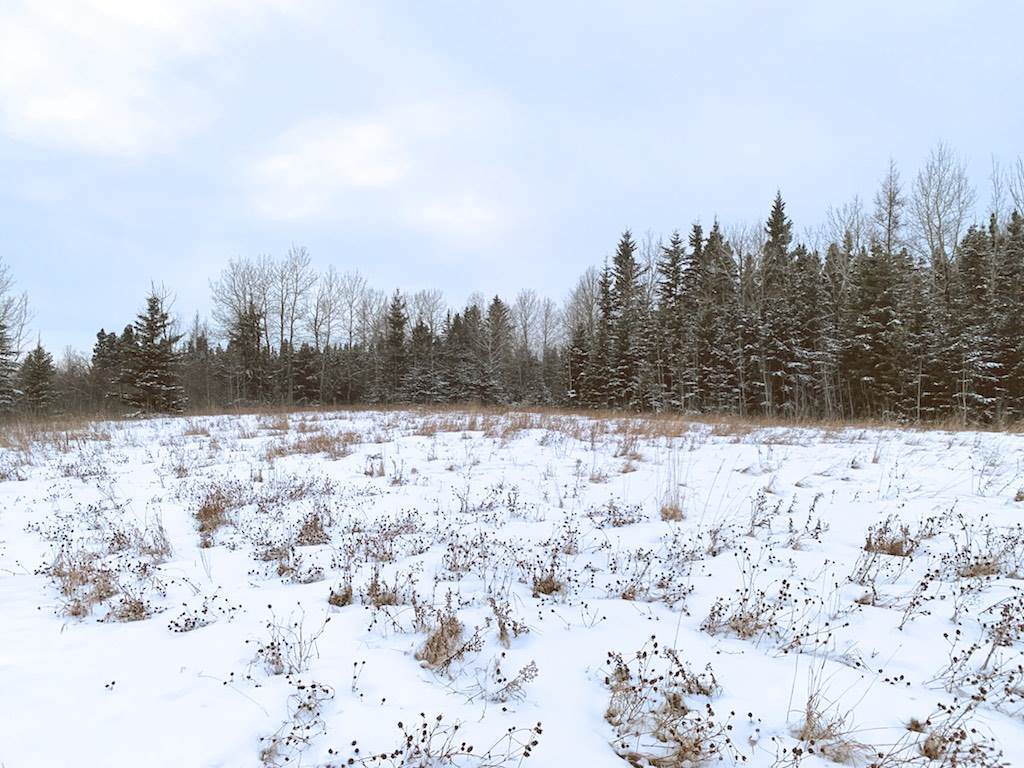 9032 Twp 580 - Photo 1