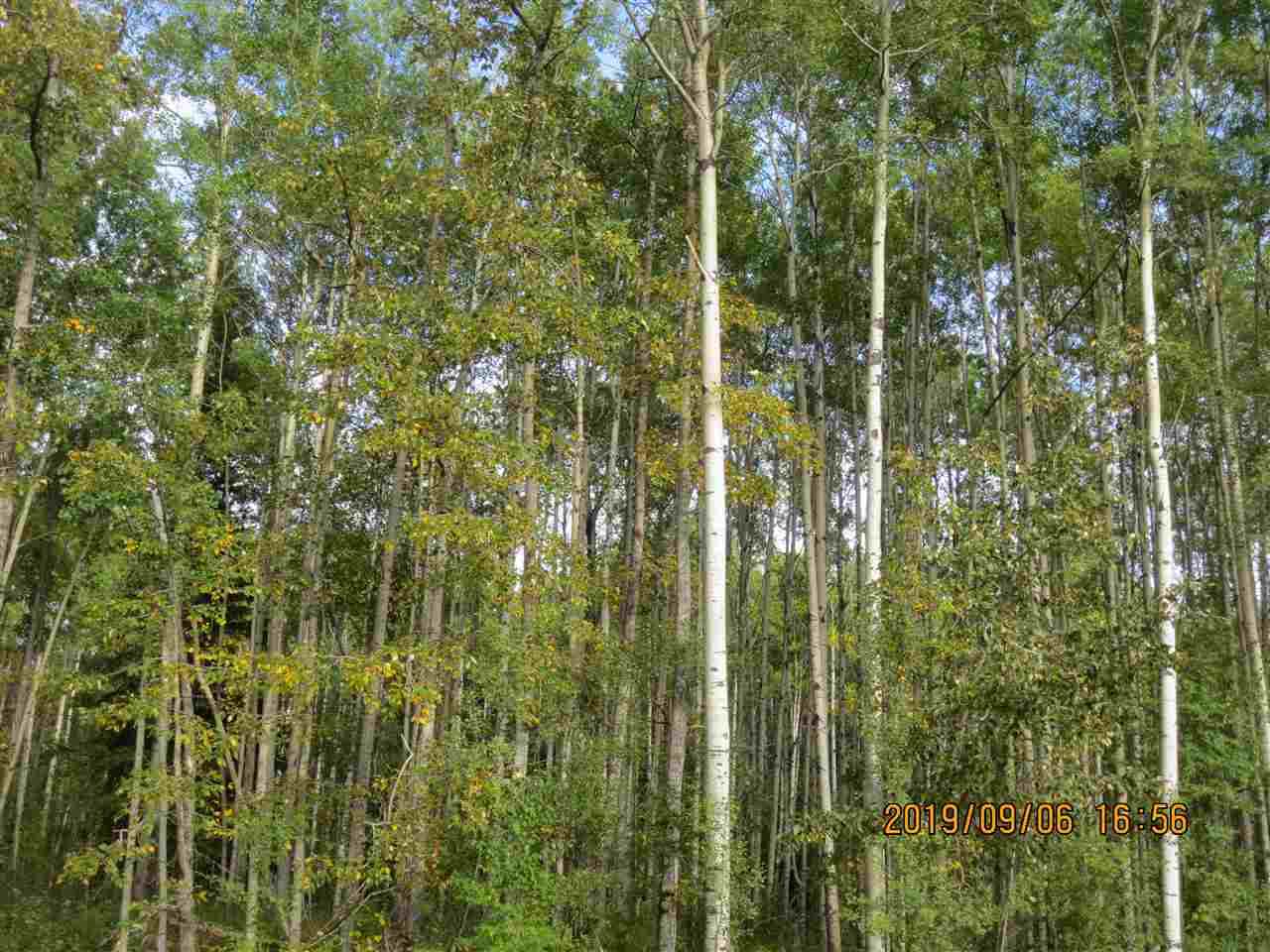 East Bank Road Range Road 135A - Photo 1