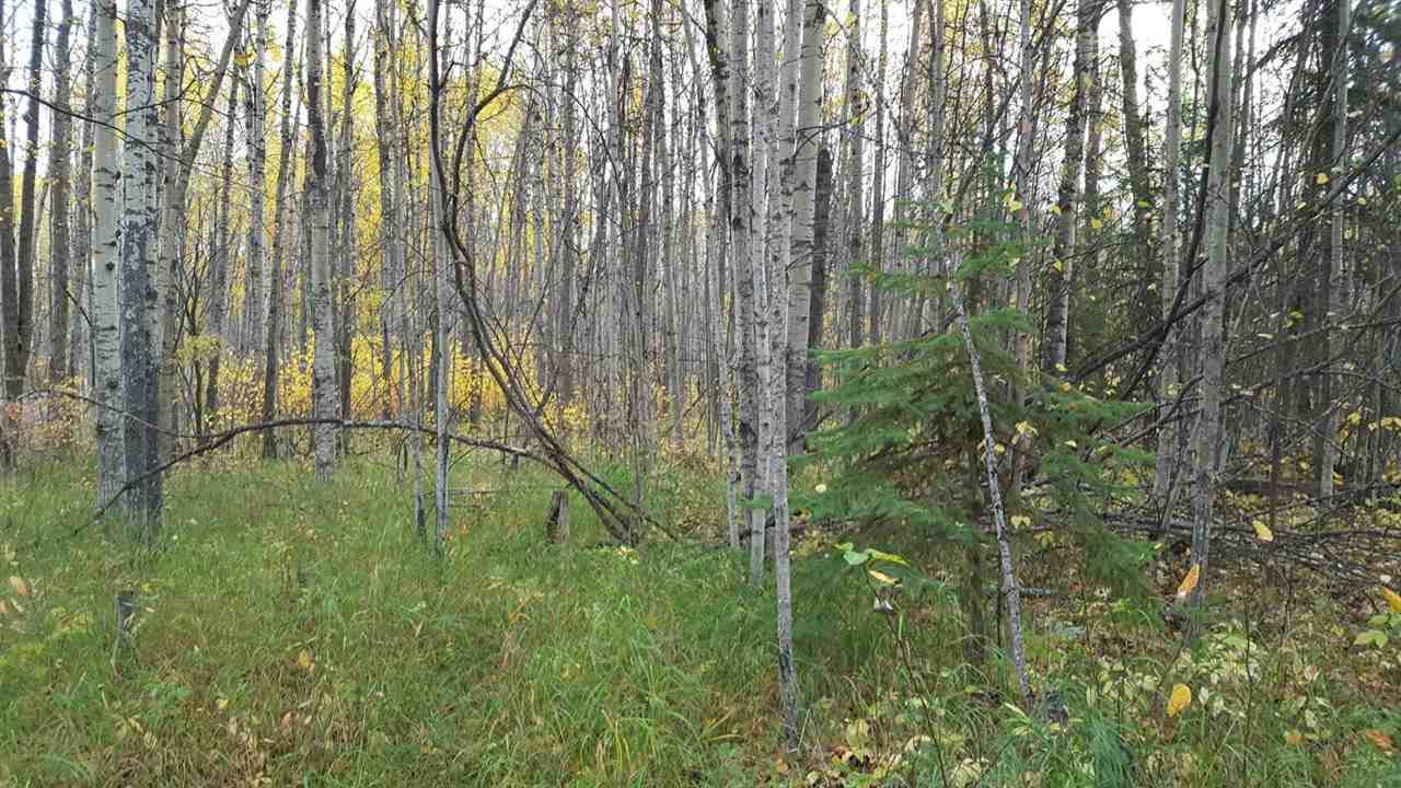 16 6231 HWY 633 - Photo 1