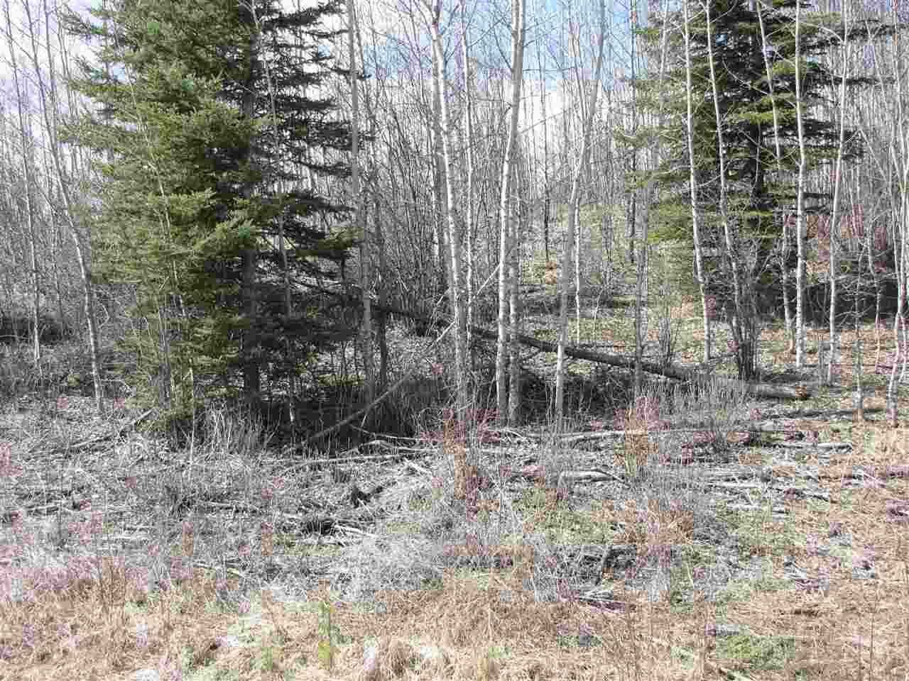 25 Mountain Springs - Photo 1