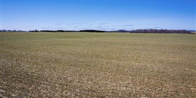 HWY 29 Range Road 172/171 - Photo 1