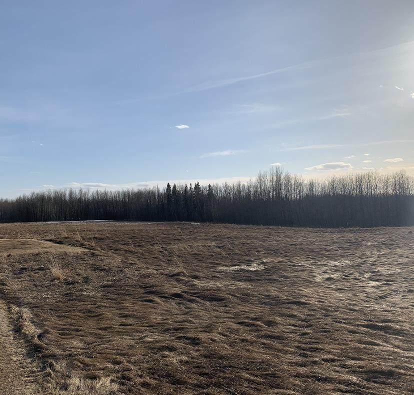 Hwy 616 Range Road 281 - Photo 1