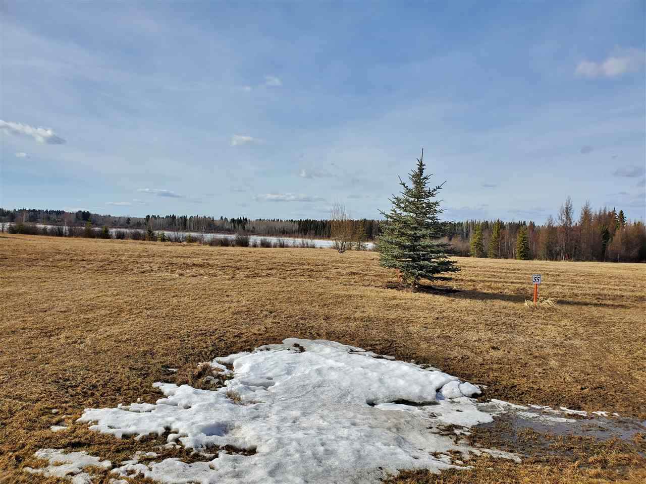 55 Silversprings - Photo 1