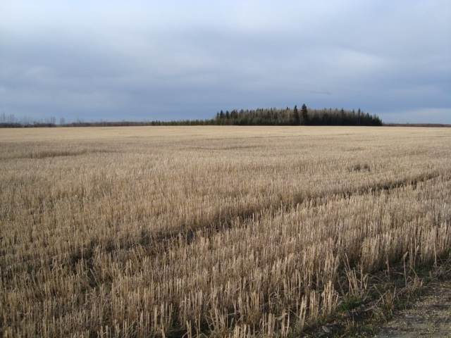 RR 25 HWY 661 - Photo 1