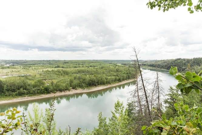 LOT B 4815 Donsdale Drive - Photo 1