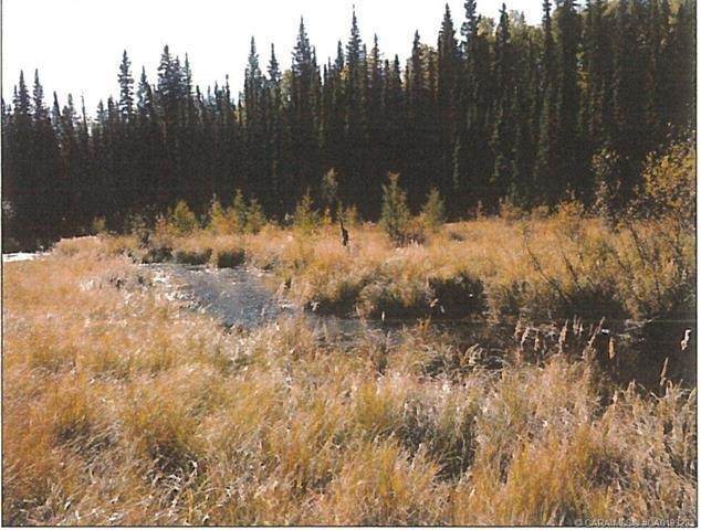 53315 Bench Creek Estates Road - Photo 1