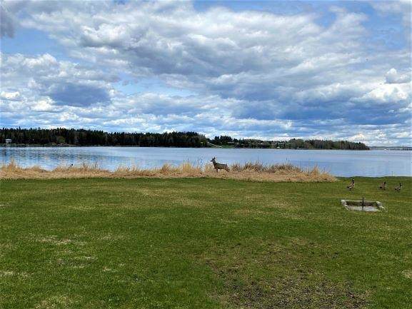 302 Lakeshore Drive - Photo 1