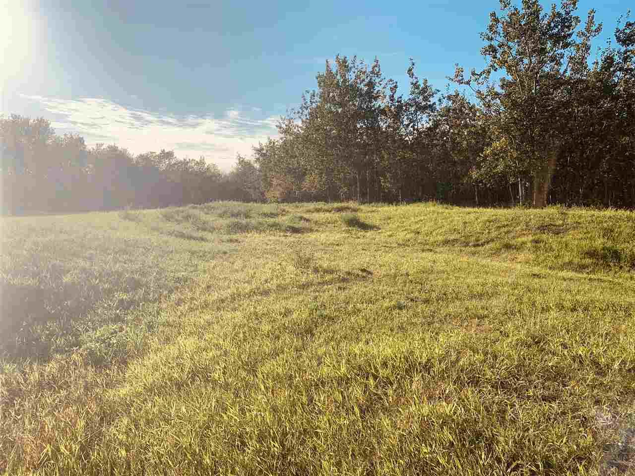 39 Hillsborough Crescent - Photo 1