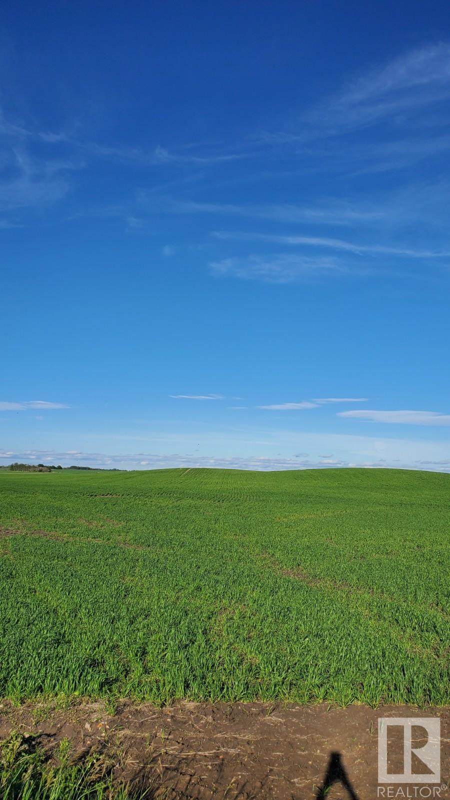 0 0 - Photo 1
