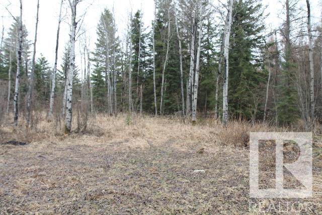 11042 Twp Rd 632 - Photo 1