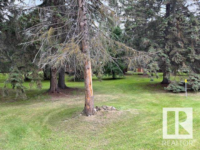 1040 Mitchell Beach - Photo 1