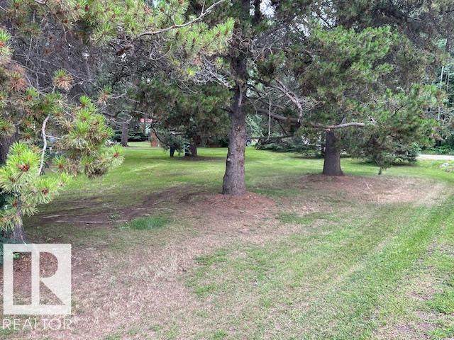 1040 Mitchell Beach Beach - Photo 1