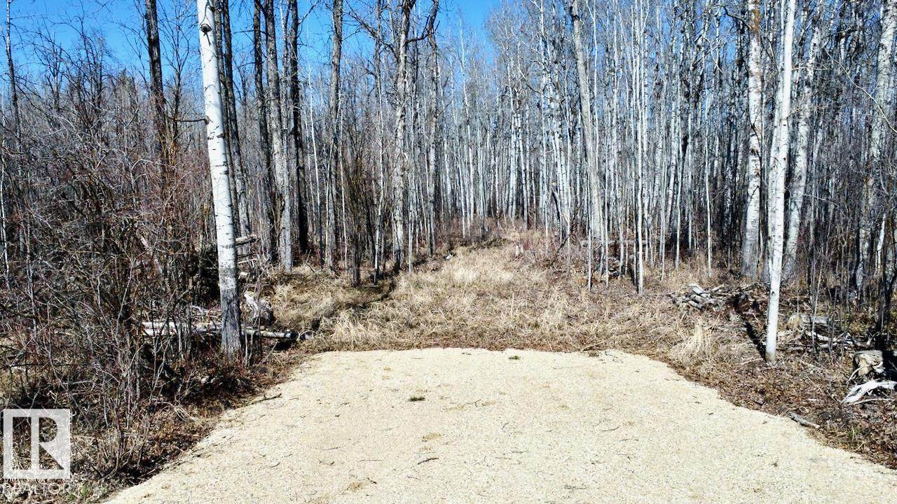 4312 Lakeshore Road - Photo 1