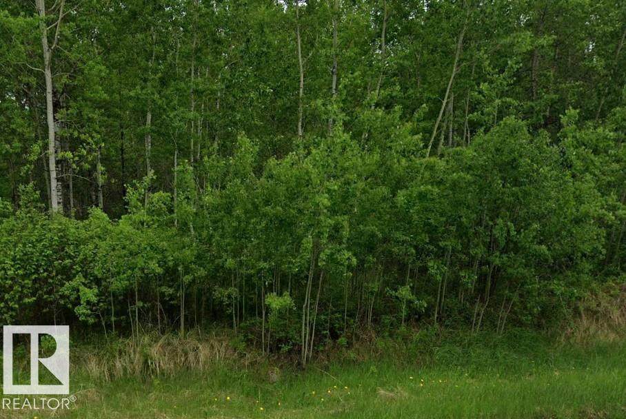 https://bt-photos.global.ssl.fastly.net/alberta/orig_boomver_1_E4493926-2.jpg