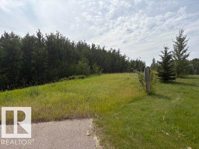 1118 Twp Rd 534 - Photo 1