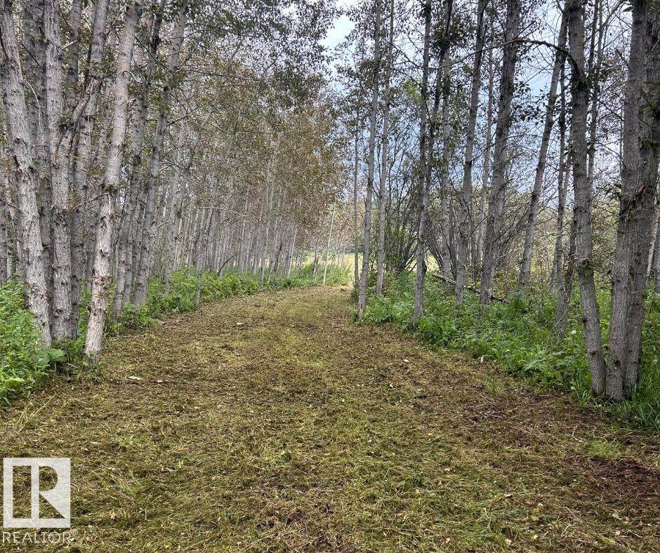 TWP RD 630 Range Road 455 - Photo 1