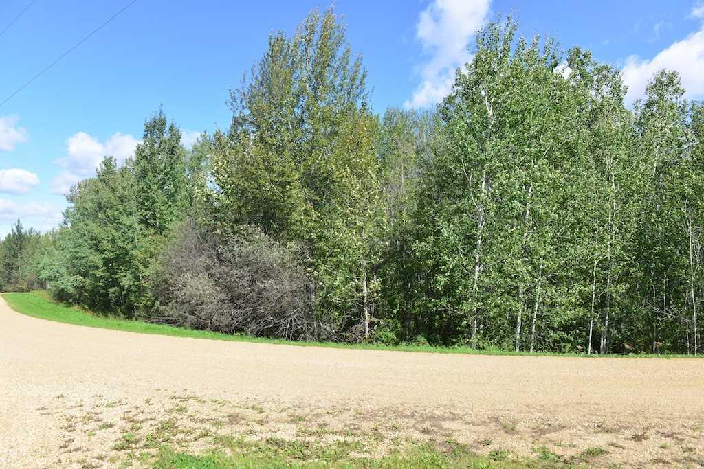 12 54422 Range Road 13 - Photo 1